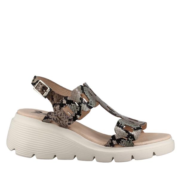 24 Hrs 25721 TAUPE-MUITI