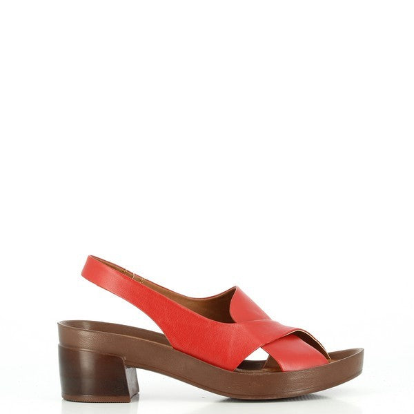 Marco Dalessi ESPINOSA RED