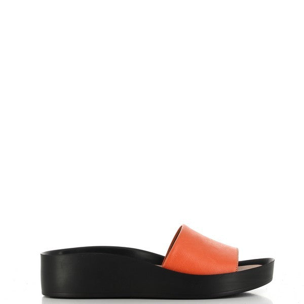 Marco Dalessi EVERGREEN CORAL