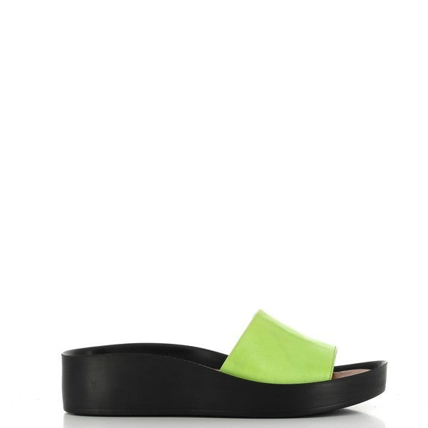 Marco Dalessi EVERGREEN BEAN