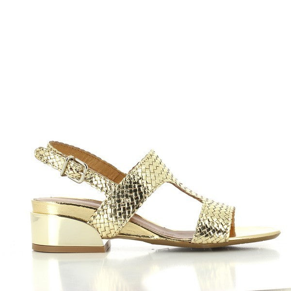 Martini Osvaldo ZC1400 GOLD