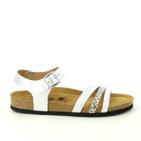 Plakton 181007 PLATA-MULTI