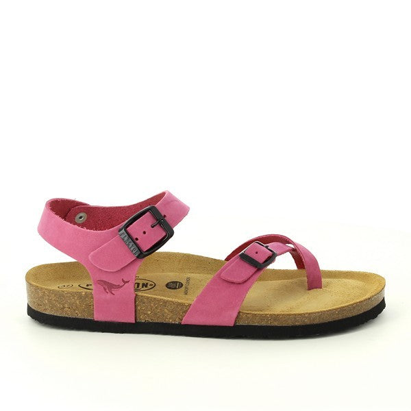 Plakton 181016 AZALEA