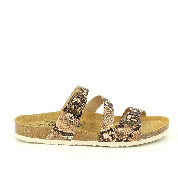 Plakton 181210 CUERO-MULTI