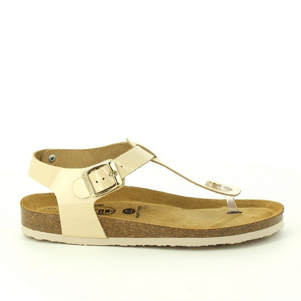 Plakton 181676 CREMA-03