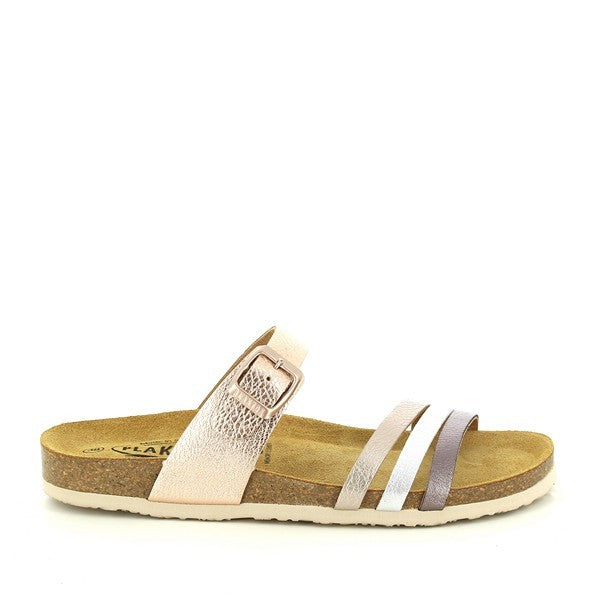 Plakton 185862 ROSE-05-MULTI