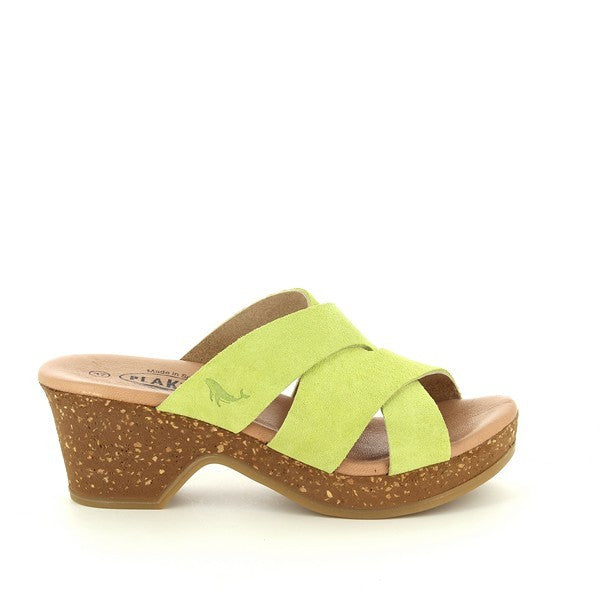 Plakton 225877 CESPED-613 X