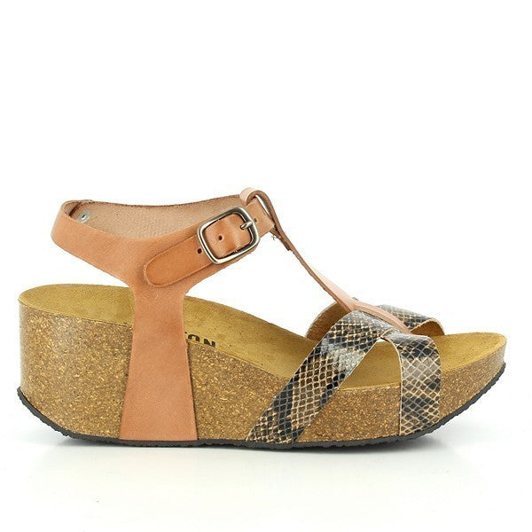 Plakton 273015 CARMIN