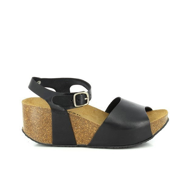 Plakton 273104 DARK BROWN