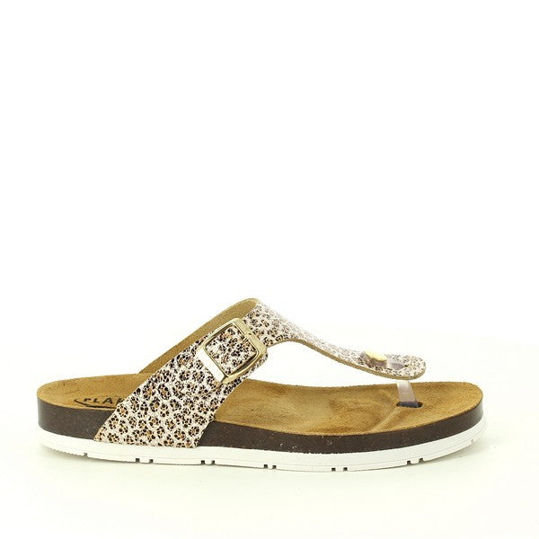 Plakton 561671 ORO-2-MULTI