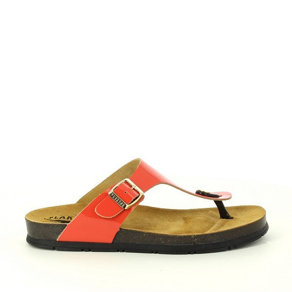 Plakton 561671 CORAL 23