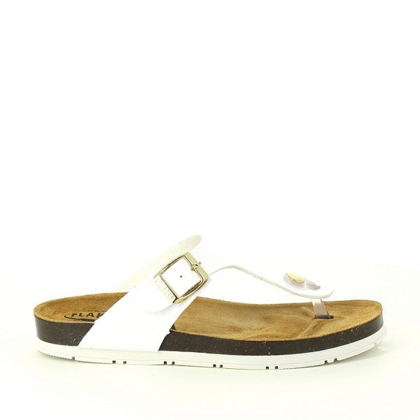 Plakton 561671 WHITE