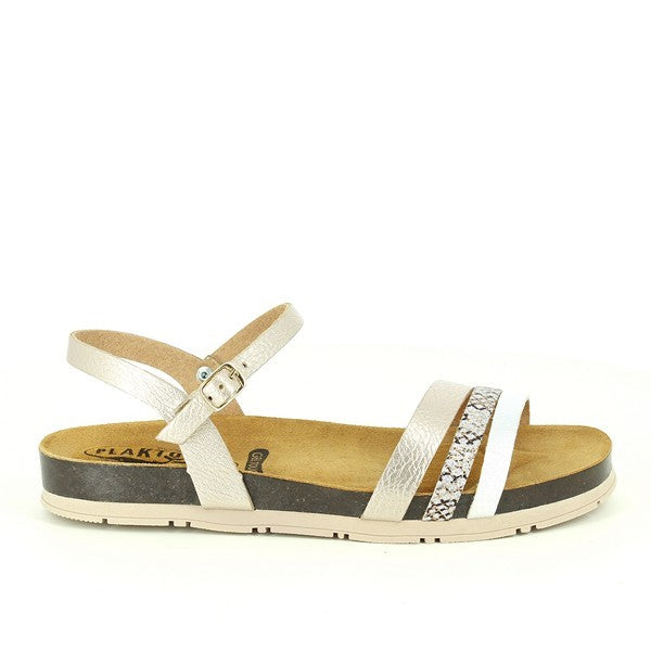 Plakton 565080 GOLD-MULTI