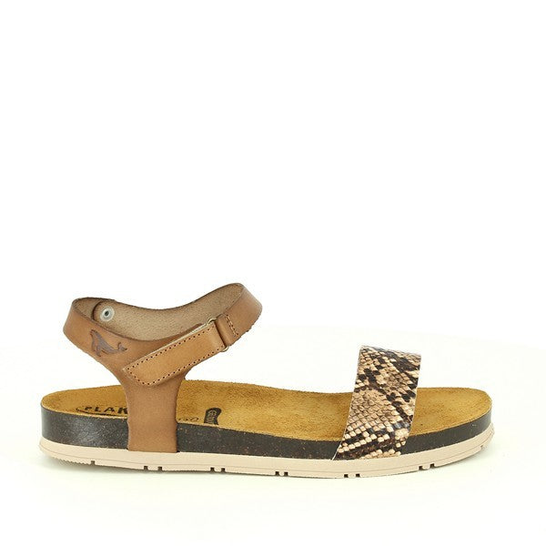 Plakton 565872 CUERO-MULTI