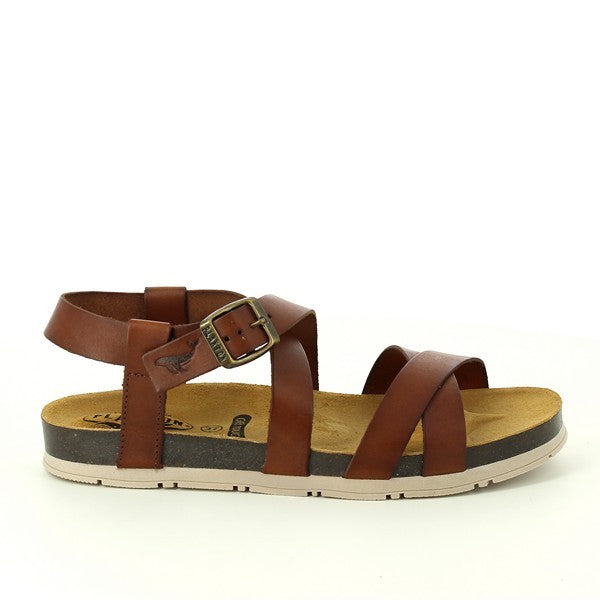 Plakton 565906 CAMELLO-5030