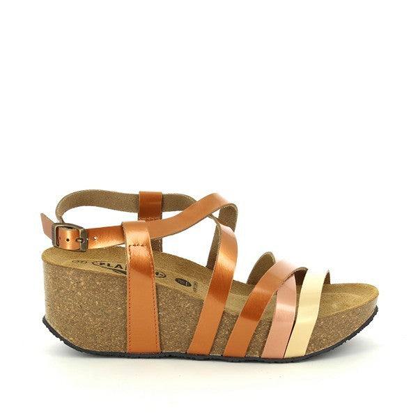 Plakton 875174 COBRE-MULITI