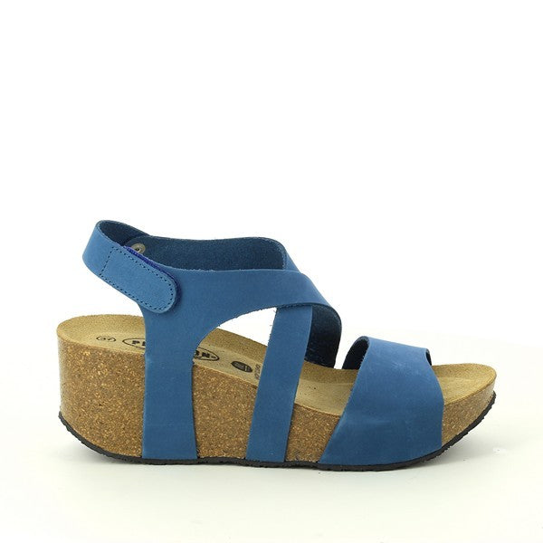 Plakton 875644 LIMNEA