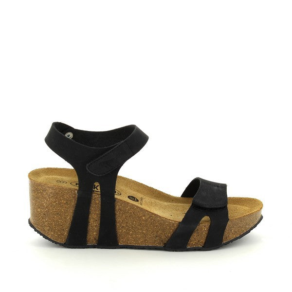 Plakton 875650 NEGRO