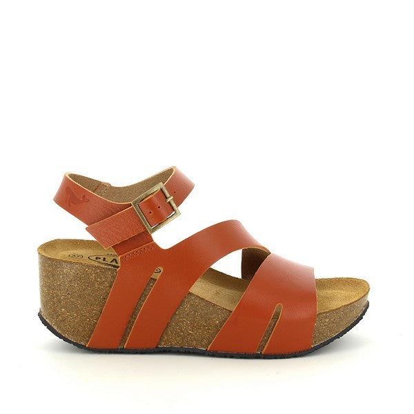 Plakton 875651 TEJA-586 X