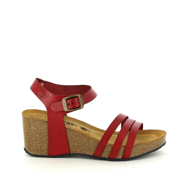 Plakton 881007 GRANA