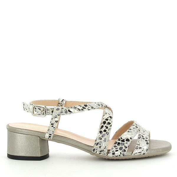 Quait 17676 WHITE-SILVER MULTI