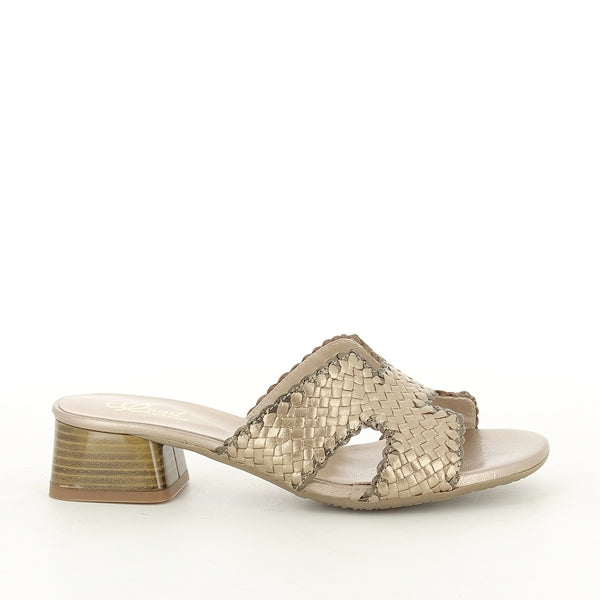 Quait 19030 OLD GOLD-MULTI