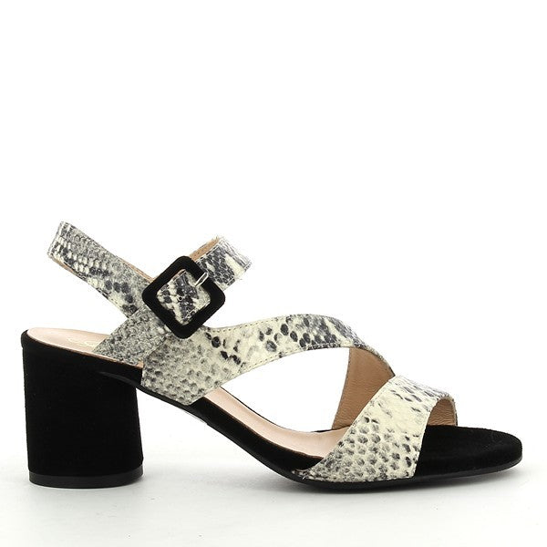 Quait 19255 NATURAL MULTI