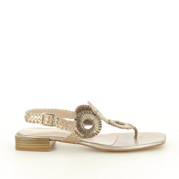 Quait 21321 GOLD-MULTI
