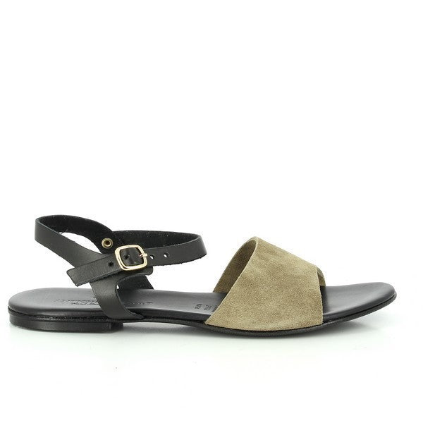 The Antichi Romani 877 Taupe & Black Slingback Sandals are displayed on a soft, neutral background, highlighting their elegant design. The taupe leather upper contrasts beautifully with the sleek black slingback strap. The sandals feature a rounded toe shape and a low 1cm heel-platform, offering both style and comfort. The smooth leather finish and carefully crafted details, including the durable synthetic sole, reflect the high-quality Italian craftsmanship.