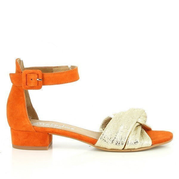 Igualados 6624 MULTI