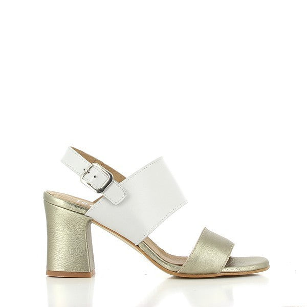 Igualados 6685 MULTI-GOLD