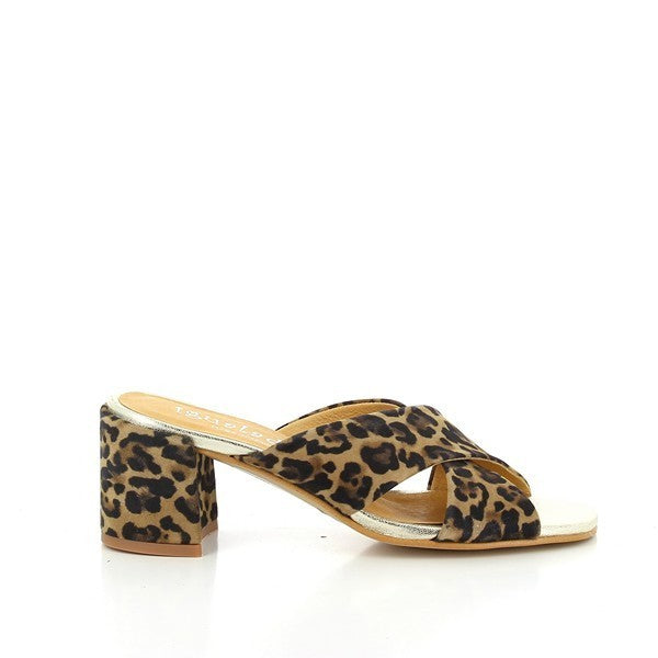 Igualados 6694 JAGUAR