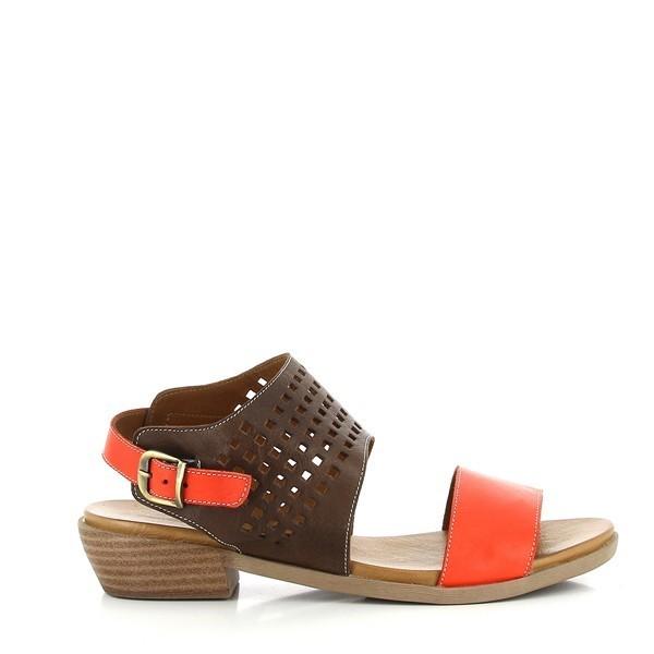 Marco Dalessi ADA RED-BROWN