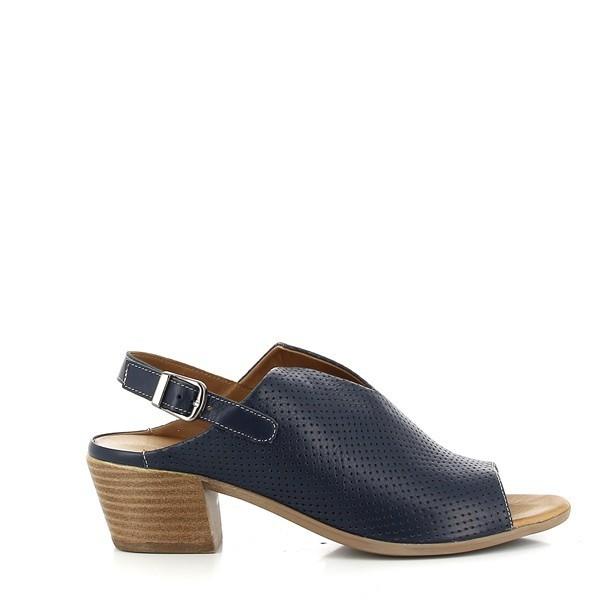 Marco Dalessi ALICIA NAVY