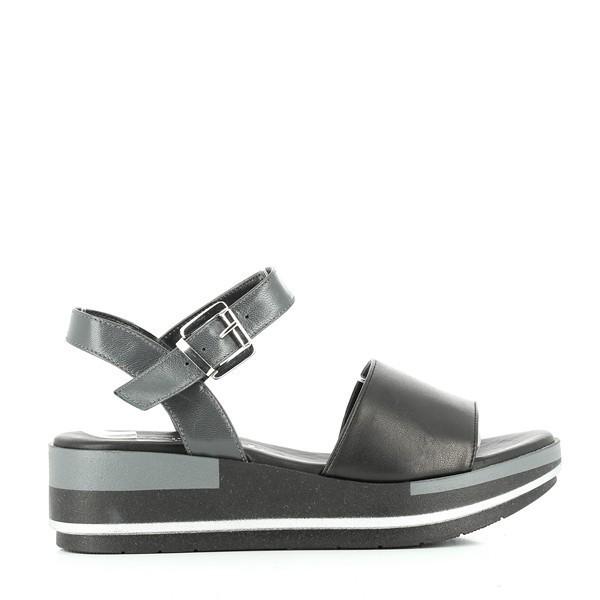 Marco Dalessi DARIA BLACK