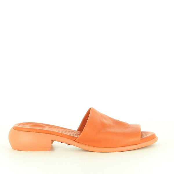 Marco Dalessi MIKADO ORANGE