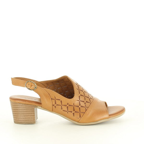 Marco Dalessi MIO TABA