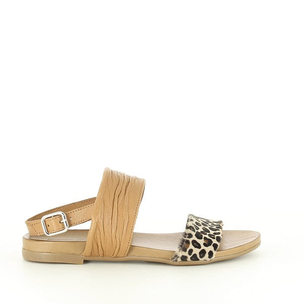 Marco Dalessi MUKO TAN-MULTI