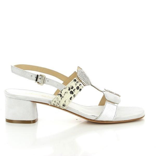 Martini Osvaldo 506 MULTI