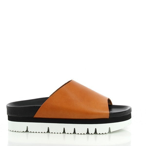 A vibrant photo featuring Plakton's 443036 Orange Platforms. These women's sandals showcase a striking orange leather upper, a 5 cm platform heel, and a synthetic sole. The design includes a round toe shape, combining comfort with bold style. Perfect for adding a pop of color to any outfit.