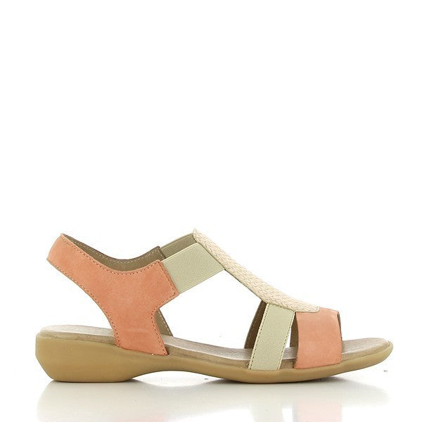 Torretti BARCELOS SALMON