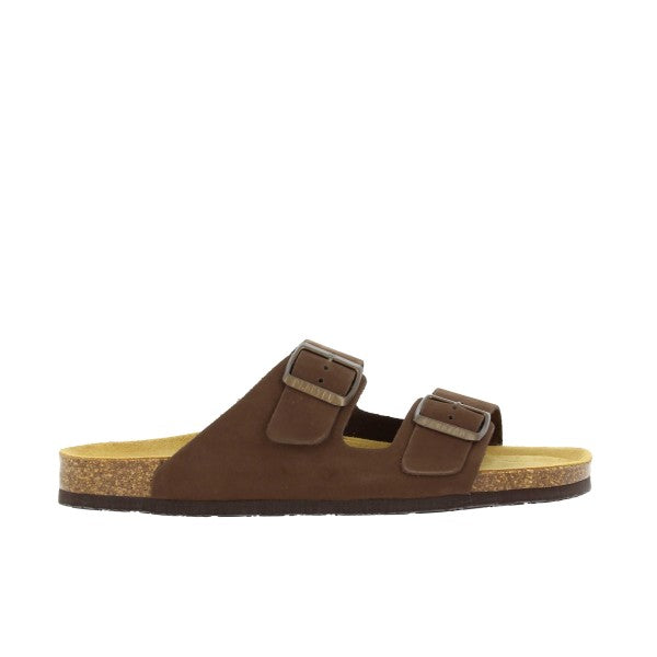 Plakton 175857 MARRON