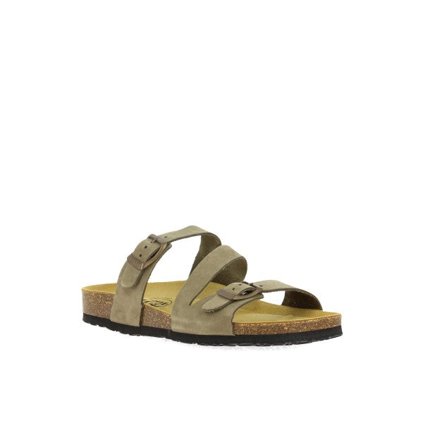 Plakton 181210 KAKI