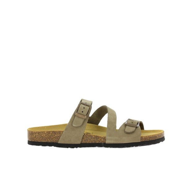 Plakton 181210 KAKI