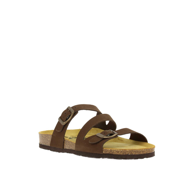 Plakton 181210 MARRON