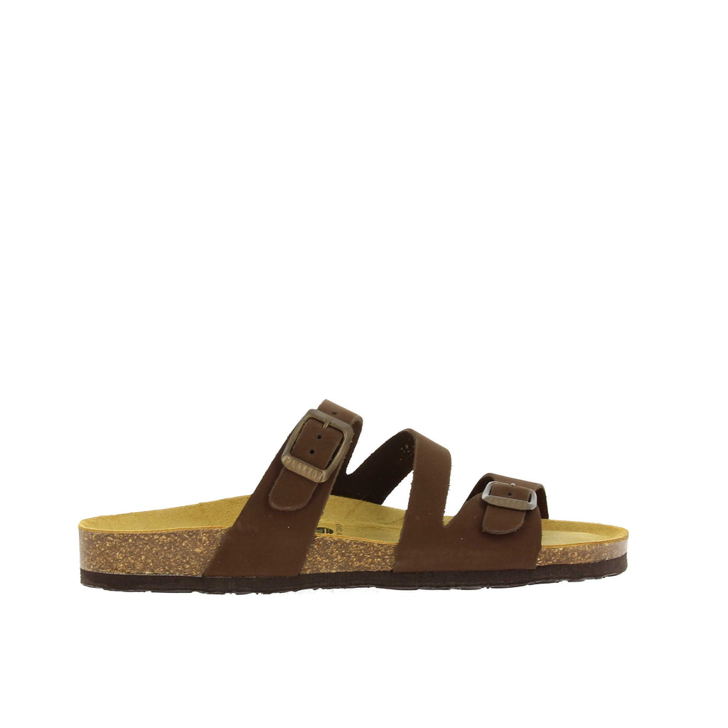 Plakton 181210 MARRON
