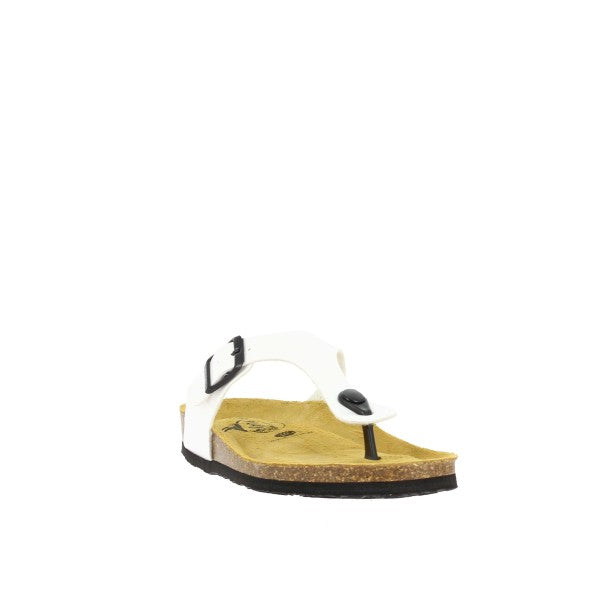 Plakton 181671 BLANCO-01