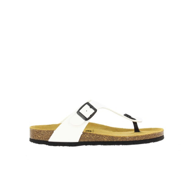Plakton 181671 BLANCO-01