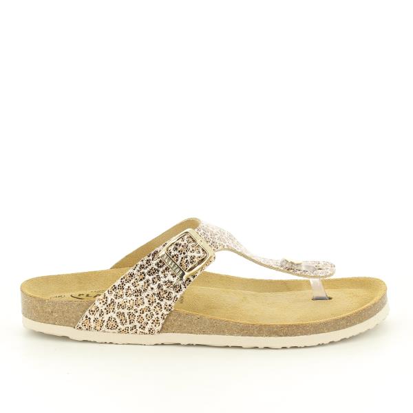 Plakton 181671 ORO