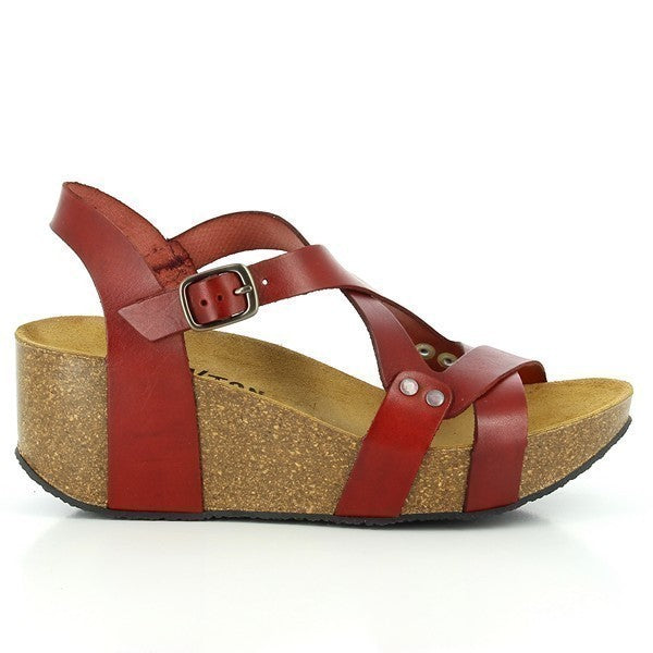 Plakton 275311 BAYAS